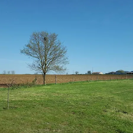 L' Oiseau Bleu Maison d'hôtes 3*
