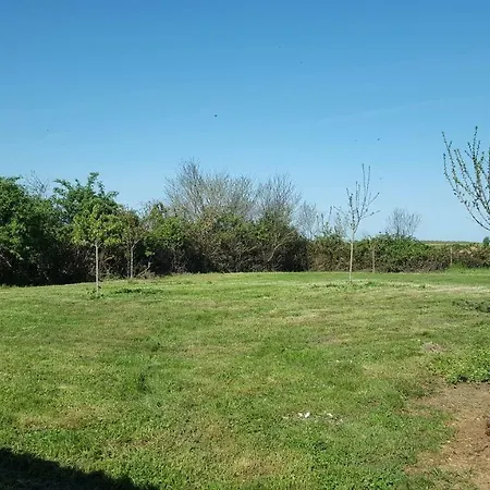Maison d'hôtes L' Oiseau Bleu